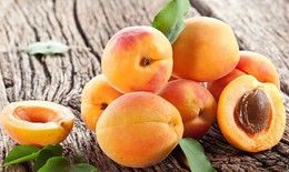 Bài thuốc chữa bệnh từ quả mơ
