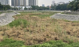 Cận cảnh hồ điều hoà ở Hà Nội cạn trơ đáy, cỏ mọc um tùm
