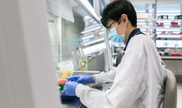 Ngày 12/7: Có 49 ca COVID-19 mới, không còn bệnh nhân phải thở máy