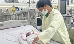Tỷ lệ chuyển nặng của bệnh sốt xuất huyết và tay chân miệng ở TP. Hồ Chí Minh tăng mạnh