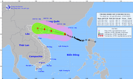 B&#227;o số 1 giật cấp 15, hướng v&#224;o Quảng Ninh - Th&#225;i B&#236;nh