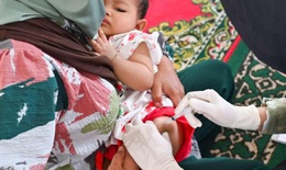 WHO: Ti&#234;m chủng trẻ em bắt đầu hồi phục sau dịch COVID-19
