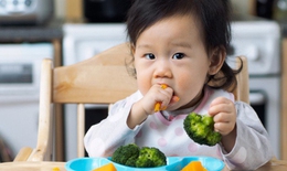 Khi chế biến đồ ăn dặm cho trẻ cần lưu ý những gì?