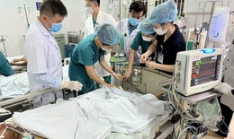 Thêm 2 vụ ngộ độc từ món cá ủ chua ở Quảng Nam