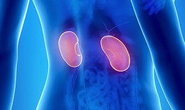 Hội chứng thận hư: Nguyên nhân, biểu hiện và cách điều trị
