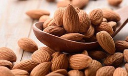 Hoàng kỳ, vị thuốc tốt cho người sau tai biến mạch máu não