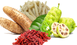 Biến chứng đ&#225;i th&#225;o đường - Giải ph&#225;p hỗ trợ ph&#242;ng ngừa từ thảo dược
