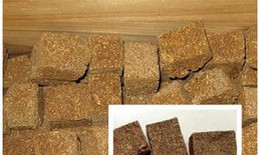 4 món cháo thuốc cho người viêm dạ dày
