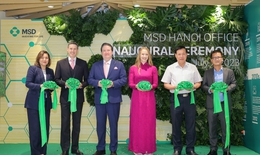 Khai trương văn ph&#242;ng mới của MSD tại H&#224; Nội