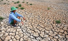 2023 có thể là năm nắng nóng kỷ lục?