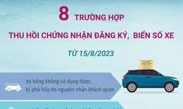 [Infographics] 8 trường hợp thu hồi chứng nhận đăng k&#253;, biển số xe