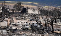 Vụ cháy rừng thế kỷ ở Mỹ: Nỗ lực tìm kiếm cứu nạn và đối phó với bụi phóng xạ