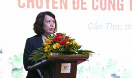 Thứ trưởng Bộ Y tế: Tập trung nguồn lực hoàn thiện thể chế liên quan đến công tác dân số