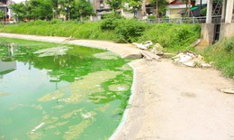 Hồ nước tại trung tâm Hà Nội ô nhiễm, mặt hồ nổi mảng bám, nước bốc mùi