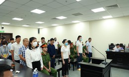 Vì sao Giám đốc Công ty Sinh Thái Xanh tặng cây nhà bố mẹ Nguyễn Đức Chung?