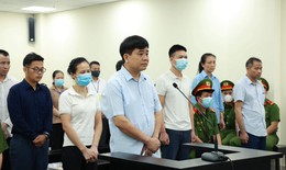 Ông Nguyễn Đức Chung lĩnh 18 tháng tù vụ 'thổi giá' cây xanh