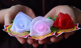 Lễ Vu lan cài hoa hồng màu gì? Ý nghĩa các màu hoa cài trên ngực áo