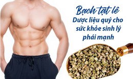 Bạch tật l&#234; – &quot;Viagra&quot; tự nhi&#234;n cho ph&#225;i mạnh