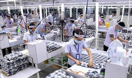 Mức tăng lương tối thiểu vùng năm 2024 dự kiến là bao nhiêu?