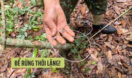 Ra mắt phim ngắn kêu gọi giảm tiêu thụ thịt thú rừng