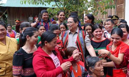 Tu Mơ Rông – Kon Tum: Sâm ngọc linh giúp dân thoát nghèo, vươn lên làm giàu