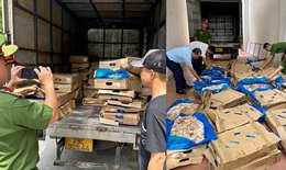 Hơn 1 tấn cánh gà bốc mùi chuẩn bị đưa ra thị trường