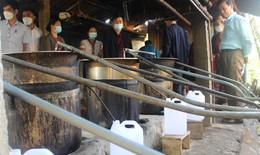 Nghệ An: Nhiều mô hình sinh kế "đuổi" cái nghèo cho phụ nữ dân tộc thiểu số