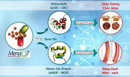 Sắp diễn ra Hội thảo khoa học: “MenaQ7 (Vitamin K2) với sức khỏe xương và tim mạch 2023” tại Hà Nội