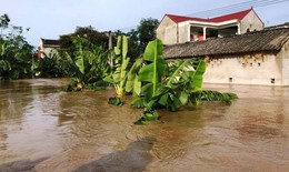 Thanh Hóa và Nghệ An là tâm điểm mưa lớn, nguy cơ nước tiếp tục dâng cao