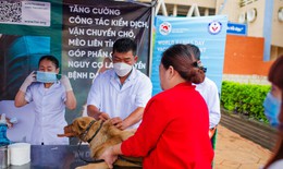 Hỗ trợ hoạt động tiêm phòng bệnh dại miễn phí