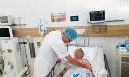 Nhiều ca cấp cứu vì ong đốt hàng trăm nốt, bác sĩ chỉ cách xử lý đúng