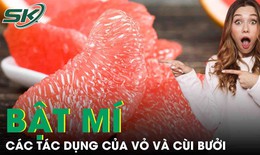 Các tác dụng của vỏ và cùi bưởi 