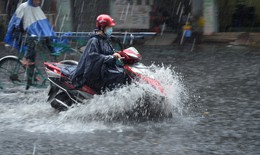 Hôm nay miền Bắc mưa dông kèm lốc, sét, gió giật mạnh