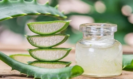 Phát hiện lợi ích với sức khỏe của nước ép lô hội