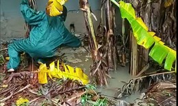 Nguyên nhân 'hố tử thần' liên tục xuất hiện ở Quảng Trị