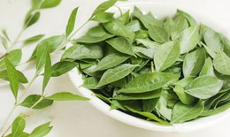 Bài thuốc chữa bệnh từ cây lá móng tay