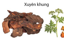 B&#224;i thuốc trị đau đầu do thời tiết từ xuy&#234;n khung