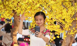TPHCM: Đường mai v&#224;ng, Phố &#244;ng đồ rực rỡ, thu h&#250;t giới trẻ 