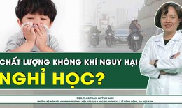 V&#236; sao n&#234;n xem x&#233;t cho học sinh nghỉ học khi chất lượng kh&#244;ng kh&#237; nguy hại?