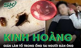Gián làm tổ trong ống tai người đàn ông