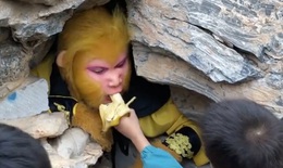 Việc nhẹ lương cao đóng vai Tôn Ngộ Không gây sốt tại Trung Quốc