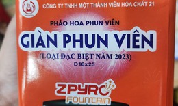 Tặng ph&#225;o hoa l&#224;m qu&#224; Tết sẽ bị xử phạt