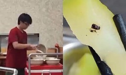 Bộ GD&amp;ĐT: Xử lý nghiêm tập thể và cá nhân liên quan đến bữa ăn tại Đại học Bách khoa Hà Nội