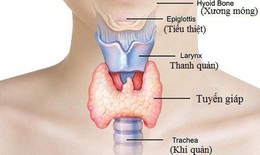 Suy gi&#225;p bẩm sinh: Nguy&#234;n nh&#226;n, triệu chứng, c&#225;ch điều trị v&#224; ph&#242;ng bệnh