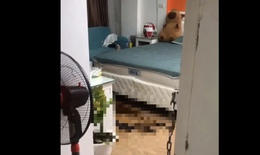 Vụ phát hiện thi thể cô gái trong chung cư mini ở Hà Nội: Nạn nhân là người thường chạy bộ, tập gym