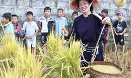 Rộn r&#224;ng niềm vui tr&#234;n thung lũng Bắc Sơn