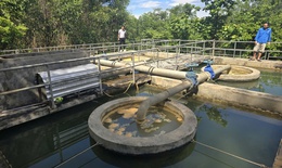Nhiều điểm lấy nước th&#244; đầu v&#224;o nh&#224; m&#225;y ở Nghệ An bị &#244; nhiễm
