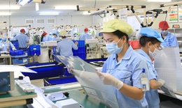 Thủ tướng chỉ đạo triển khai loạt biện pháp tháo gỡ khó khăn cho doanh nghiệp