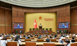 Bộ trưởng Bộ Y tế trả lời chất vấn về tình trạng giả danh bác sĩ bán thực phẩm chức năng