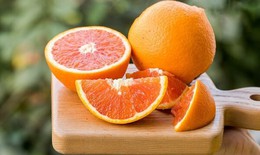 8 loại thực phẩm hàng đầu giúp tăng khả năng miễn dịch